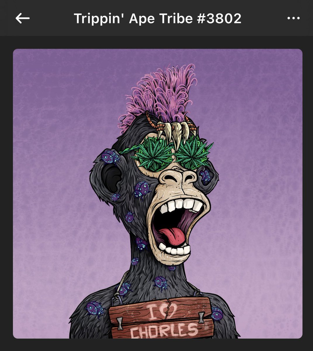 javierchin7's tweet photo. @trippinapes Monatrippsa https://t.co/OIcxuK1MsM