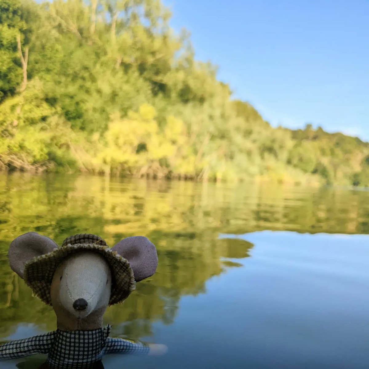 1 year of the DLD mouse!! It's certainly been an adventure already. I'm very excited for my Thames paddle boarding challenge in a week and a bit, sharing my journey and learning about DLD along the way #devlangdis 🐭💜💛