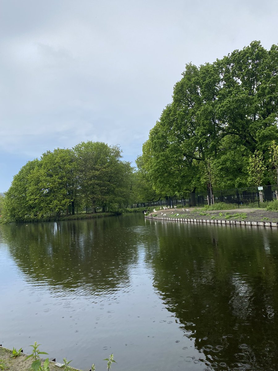 Nerde olursa olsun su kenari hassas noktamdir 😅

Gunaydin 🙋🏻‍♀️ bugun size den haag (lahey) den gelsin 🤗🤗