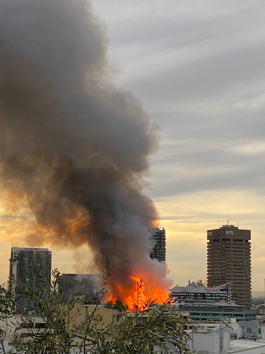 ifwitgwrs's tweet photo. @9NewsSyd Took hold really quickly https://t.co/D3aHLhriC4
