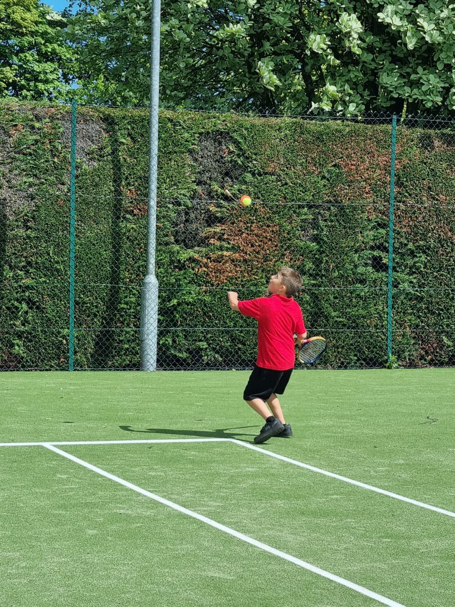 Pitlessie PS tweet media