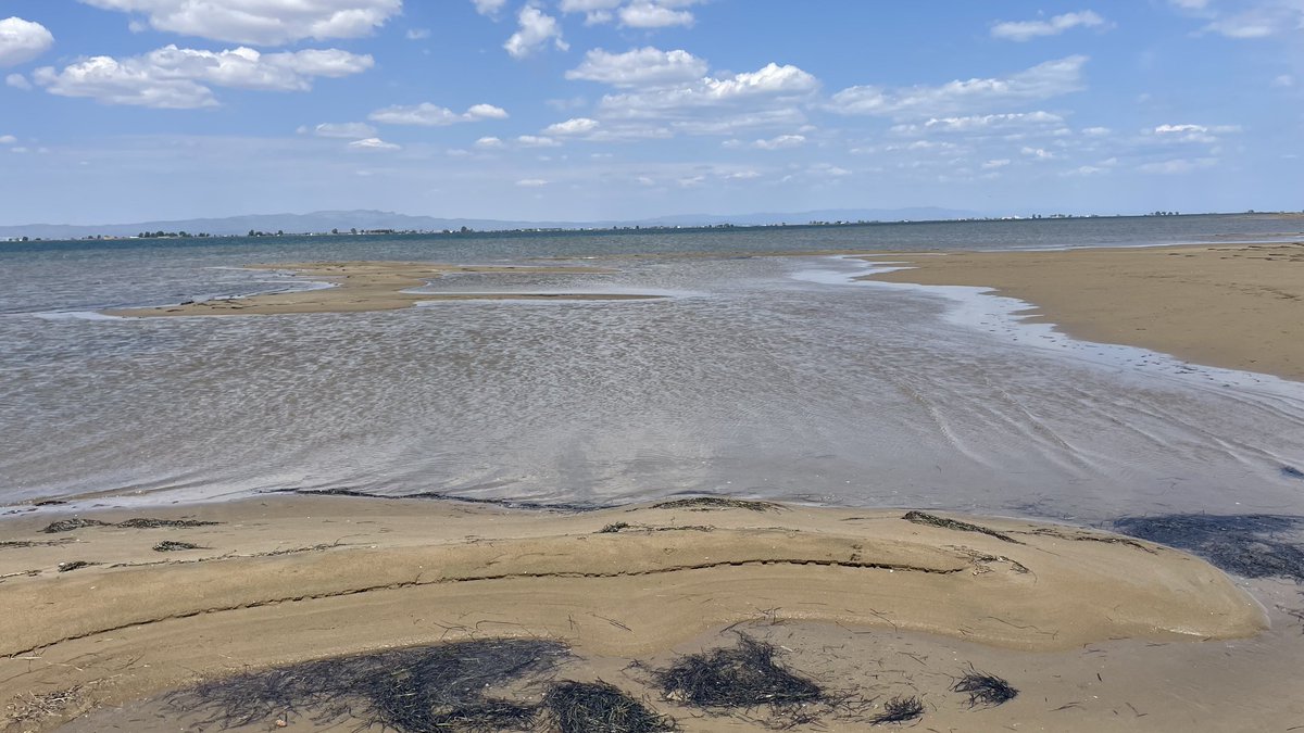 batidivulga's tweet image. El Trabucador bar links the #EbroDelta with La Banya spit contributing to delimiting the inner lagoon of Els Alfacs. In this bar we can find some interesting sedimentary morphologies...

#DeltadelEbre #bedforms #ripples #Overwash #sedimentology