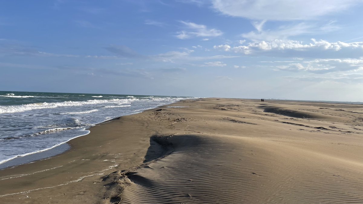 batidivulga's tweet image. El Trabucador bar links the #EbroDelta with La Banya spit contributing to delimiting the inner lagoon of Els Alfacs. In this bar we can find some interesting sedimentary morphologies...

#DeltadelEbre #bedforms #ripples #Overwash #sedimentology