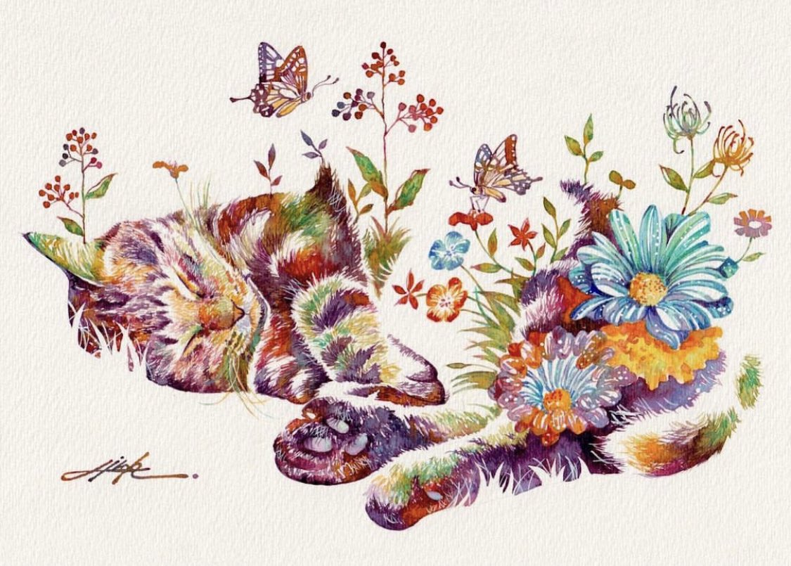 「おやすみ〜  #猫がいる暮らし #透明水彩」|タケダヒロキのイラスト