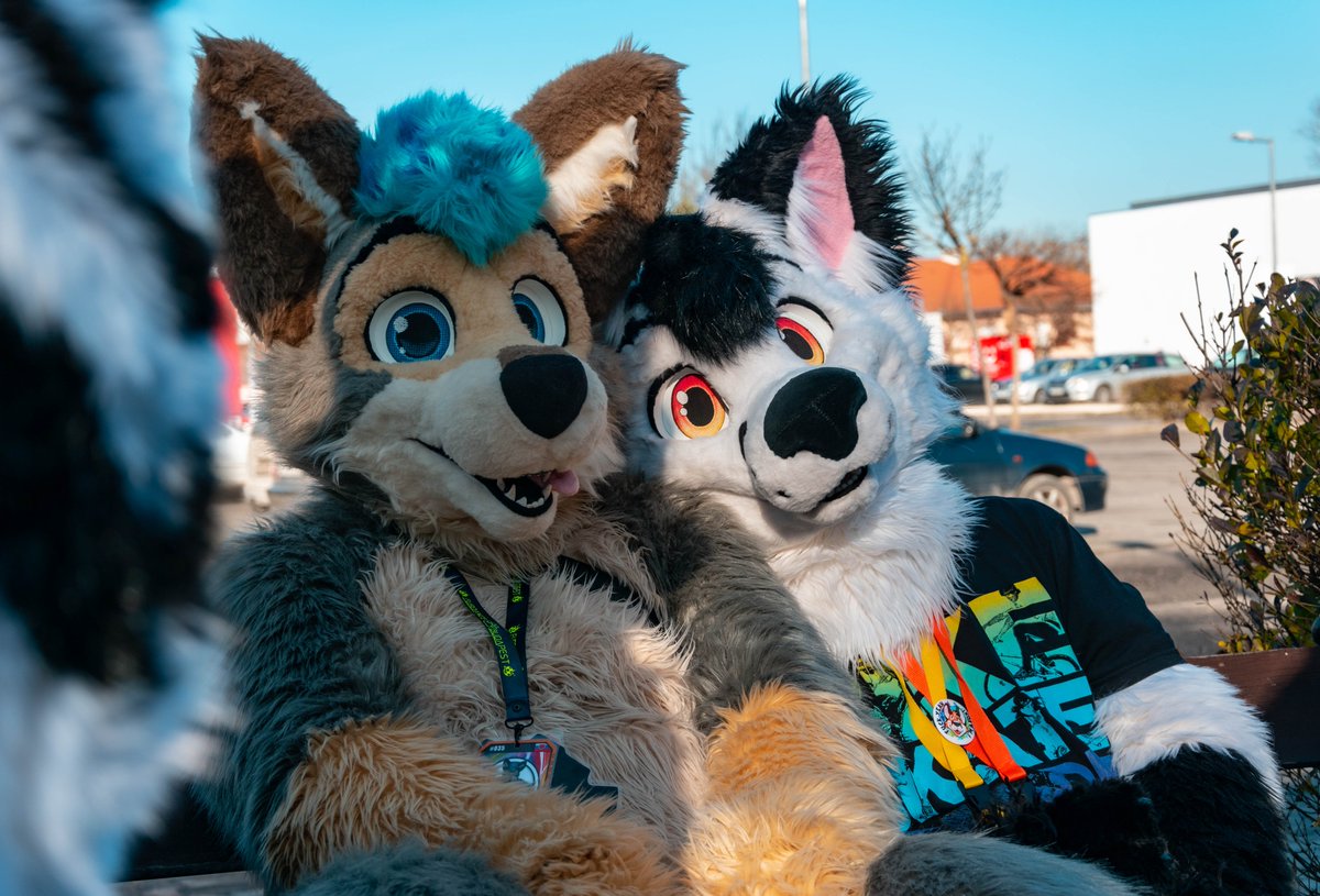 FurdanceBP's tweet photo. "Foxes stick together!" – 📷 Marty
#FursuitFriday #WinterFurs #FurdanceBudapest https://t.co/vFHElgIDuv