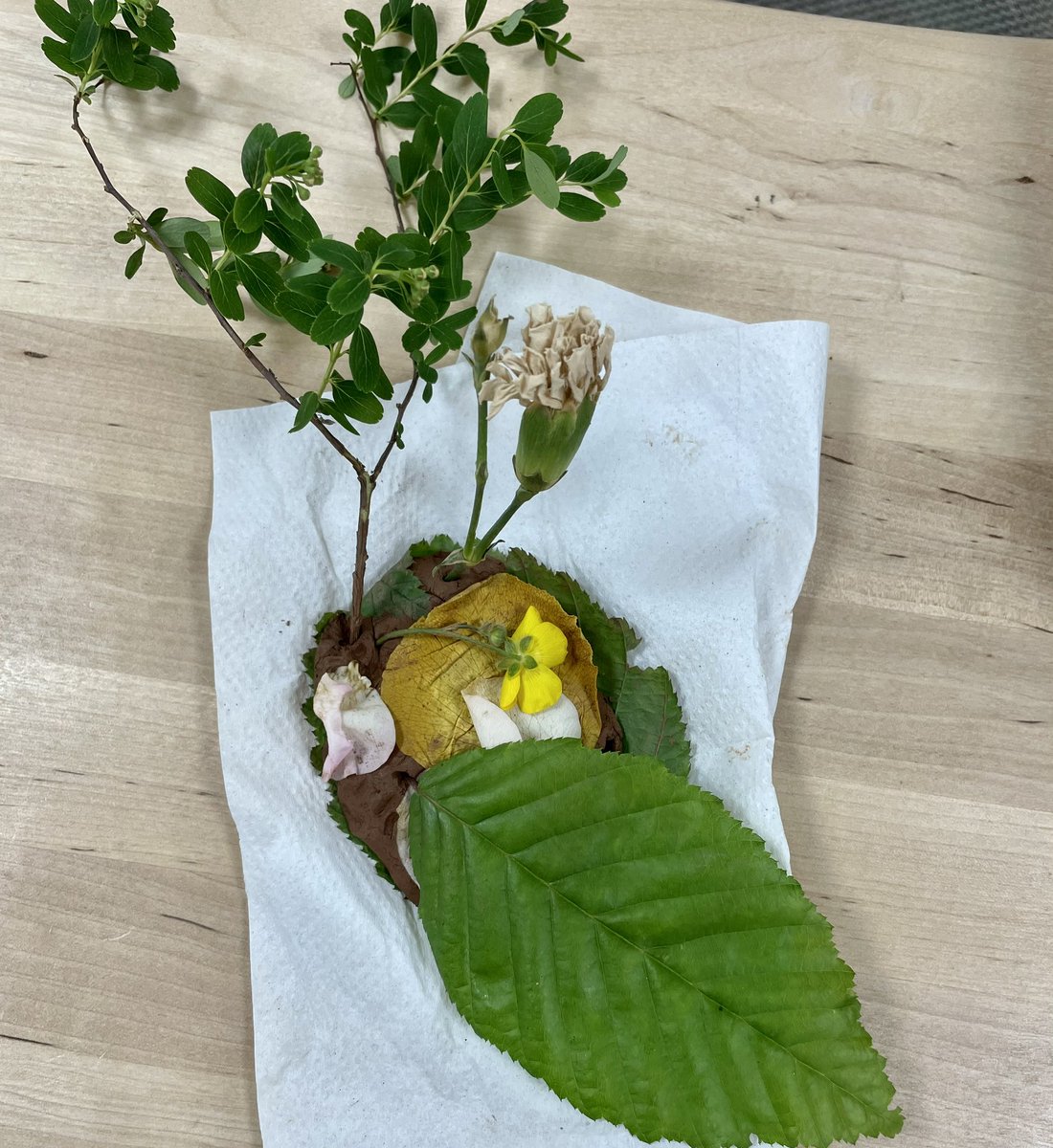 MctavishAnni's tweet photo. Continuing our arts project with inspiration from Minnie Pwerle we’re exploring clay and natural materials. Creating these beautiful mini-sculptures! The children have really enjoyed experimenting 🤎🧡💚@SheringhamNurs1 @lindseyfrostie @Flissej @melissapren https://t.co/WexxXaSJ50