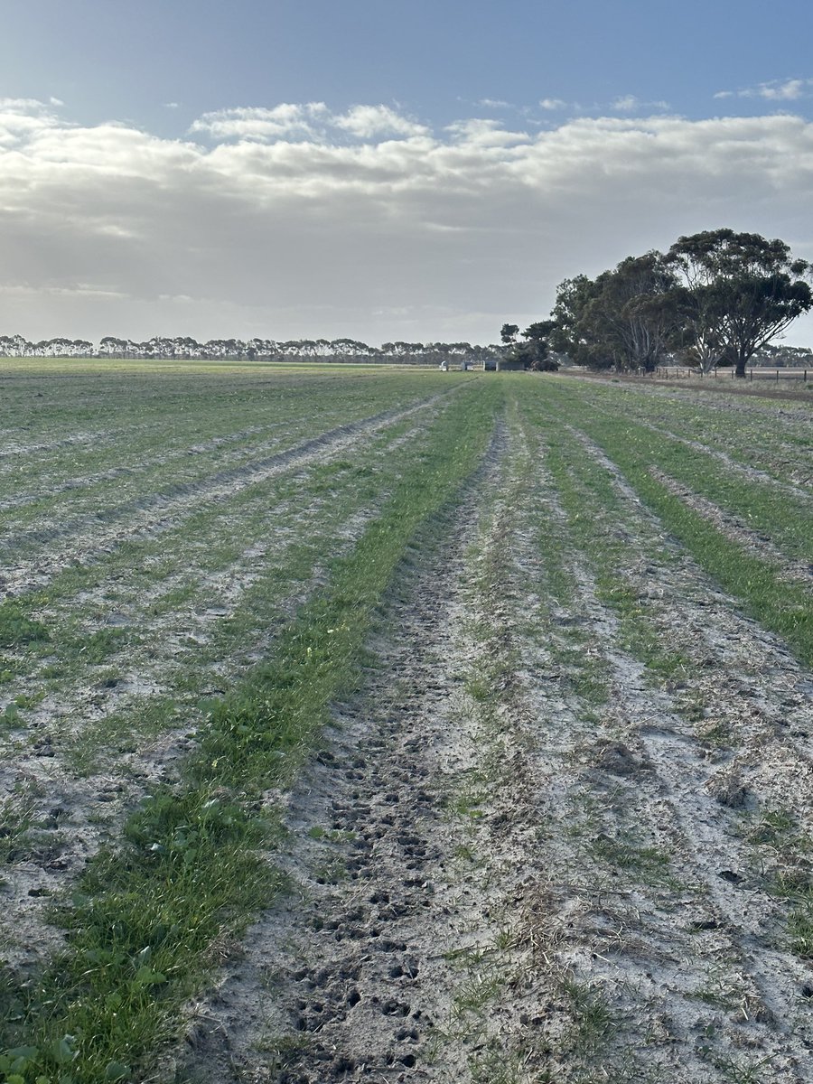 Michael Hart tweet media