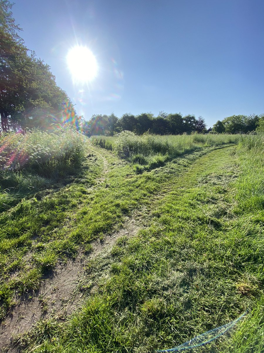 ConnyMollen's tweet photo. Het ene honden baasje zei tegen het andere; wat zou het toch fijn als deze pad gemaaid zou worden. Er wandelen steeds meer mensen door het hoge gras…. De volgende dag alles gemaaid 😊. Super fijn @GemEersel #duizelnoord #kleinebeerze #wandelgemeente #bedankt https://t.co/DcqiuCD9Vi