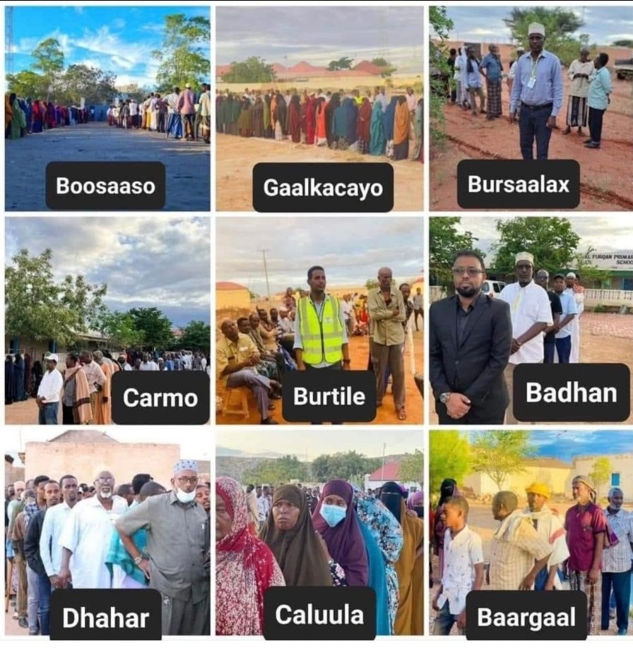 alihwarsame tweet picture