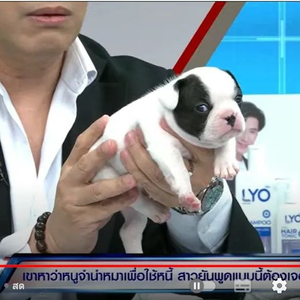 อ้วรละยังทำหน้านักเลงอีก