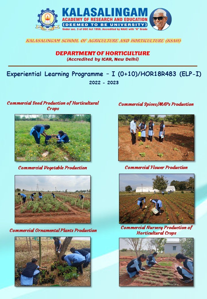 HodKlu's tweet photo. #StudentREADYprogram of Department of Horticulture #Kalasalingam #KSAH https://t.co/rS7I4G6cV1