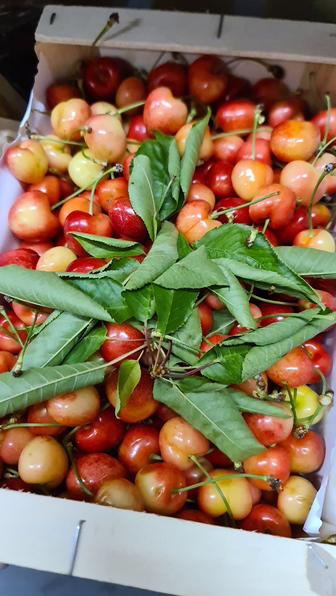 First Choice Produce tweet media