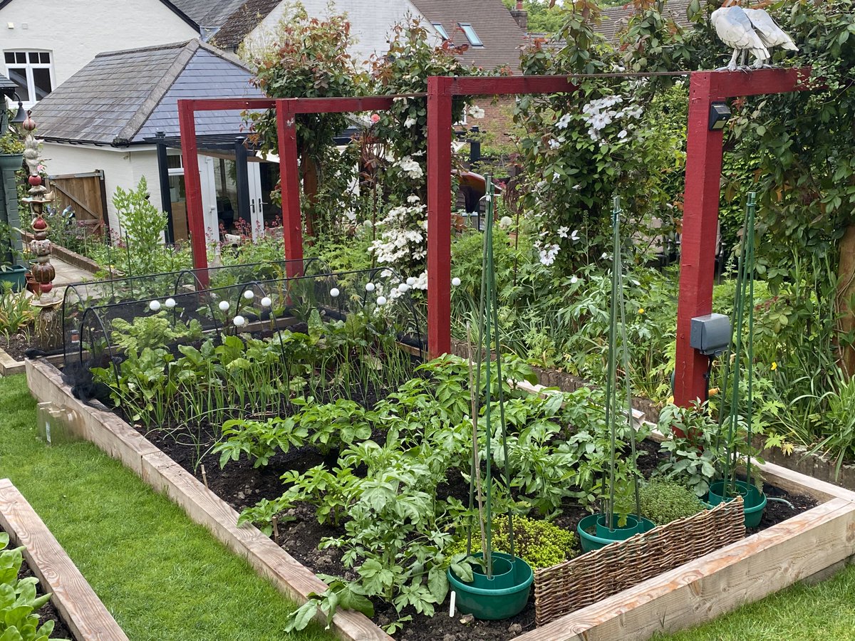We are getting reading for Grayswood Open Gardens on Sunday 10th June. Here are a few images of AppArt's garden which will be open along with several others in this attractive village.