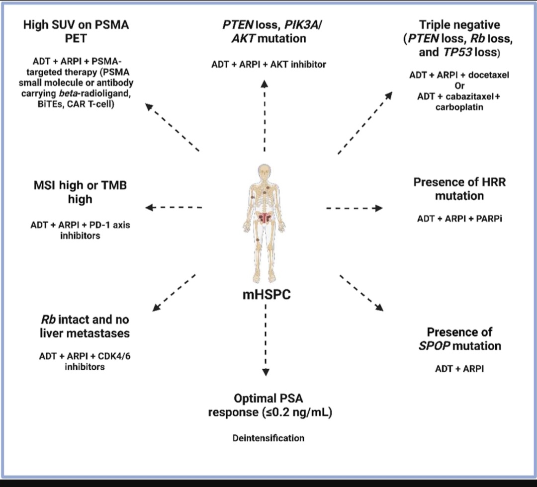 nataliagandur's tweet image. 📢 New article published in #EducationalBook by @ASCO: "Metastatic Hormone-Sensitive #prostatecancer: Toward an Era of #AdaptiveTheraphy and #PersonalizedTreatment.
" Here are the key messages and conclusions:

🔬 #mHSPCtreatment is evolving rapidly, leading us into an era of…