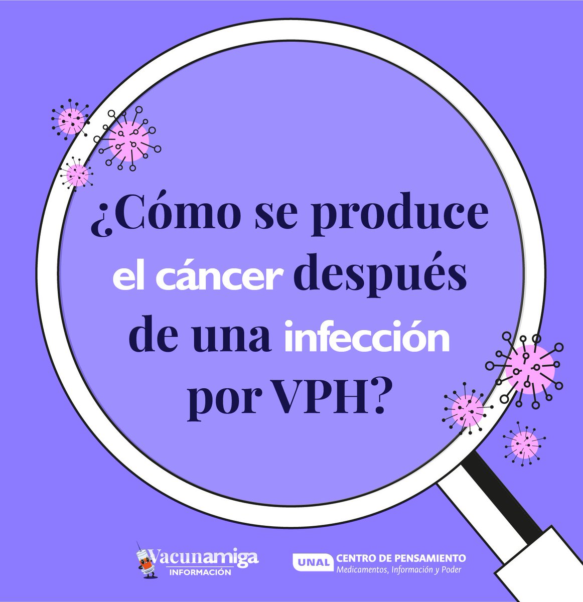 VacunAmiga tweet media