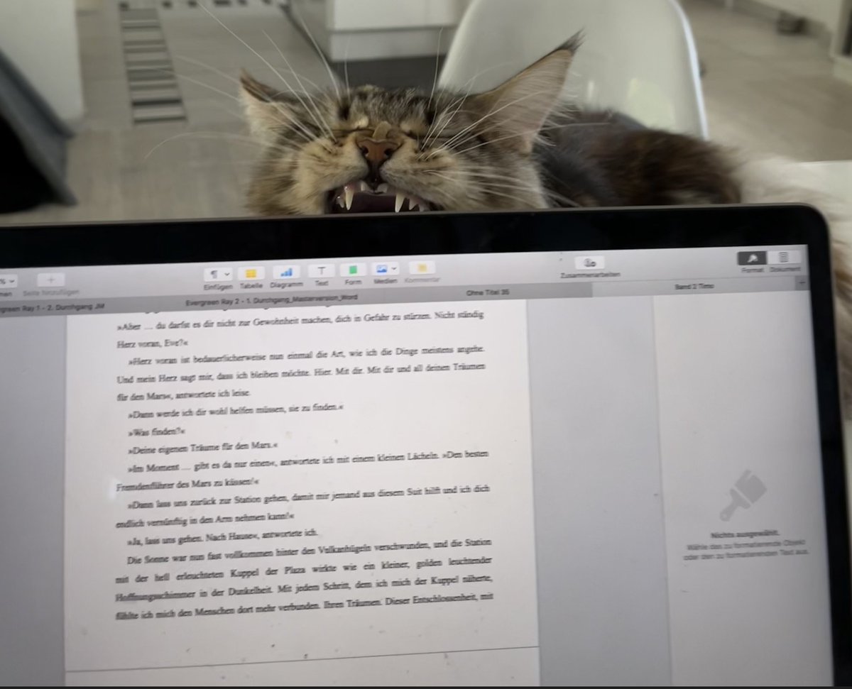 Lese meiner Co-Autorin gerade die neue Kurzgeschichte vor - muss wohl noch ein wenig überarbeitet werden … 

#ScienceFiction #Autorinnenleben #Katzen