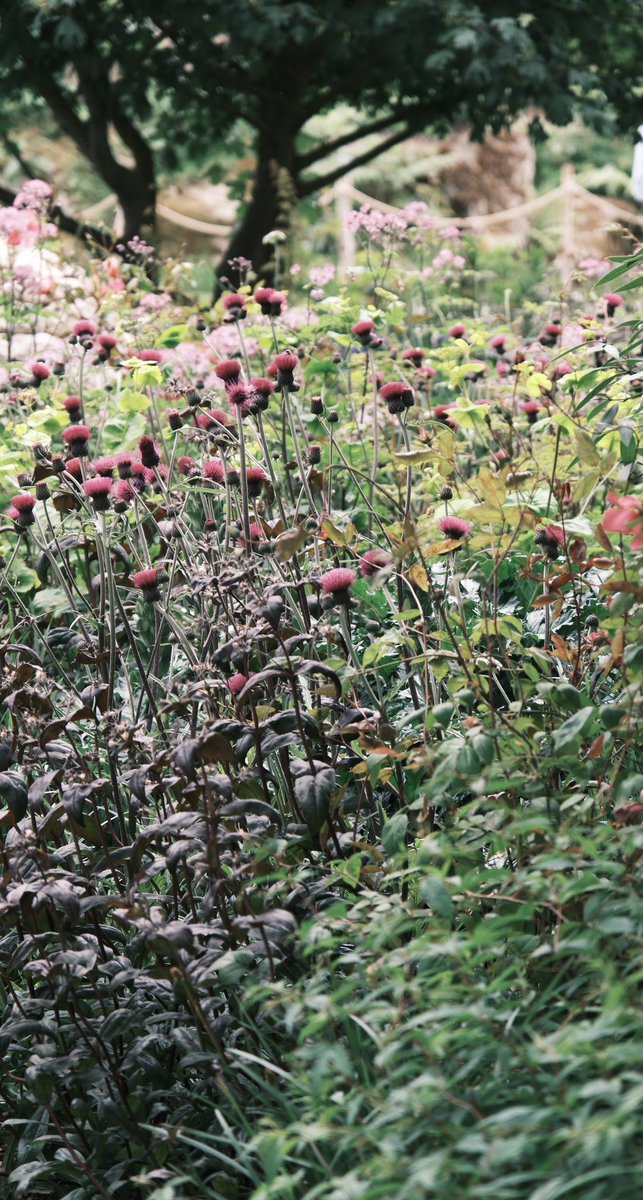 Pete Reed OBE tweet media