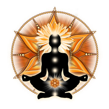 #NewProfilePic #svadhisthana #Lotuss #Lotus #sagrado #chacra