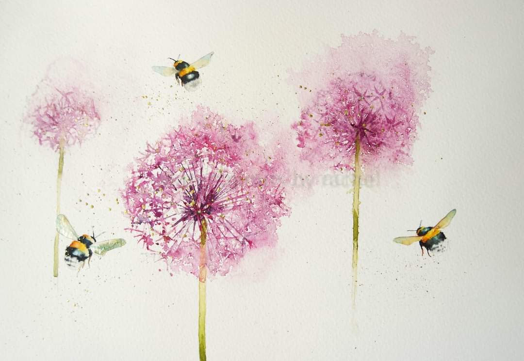 So many flowers to paint just now,  so little time to paint them.

Blog coming later

Happy Thursday x

#watercolour #watercolourpainting #allium #bees #flowers #May #summer #pollinators #Garden #painting #art #Devon #paint #art #savethebees #bumblebees #wildlife #wildlifeartist
