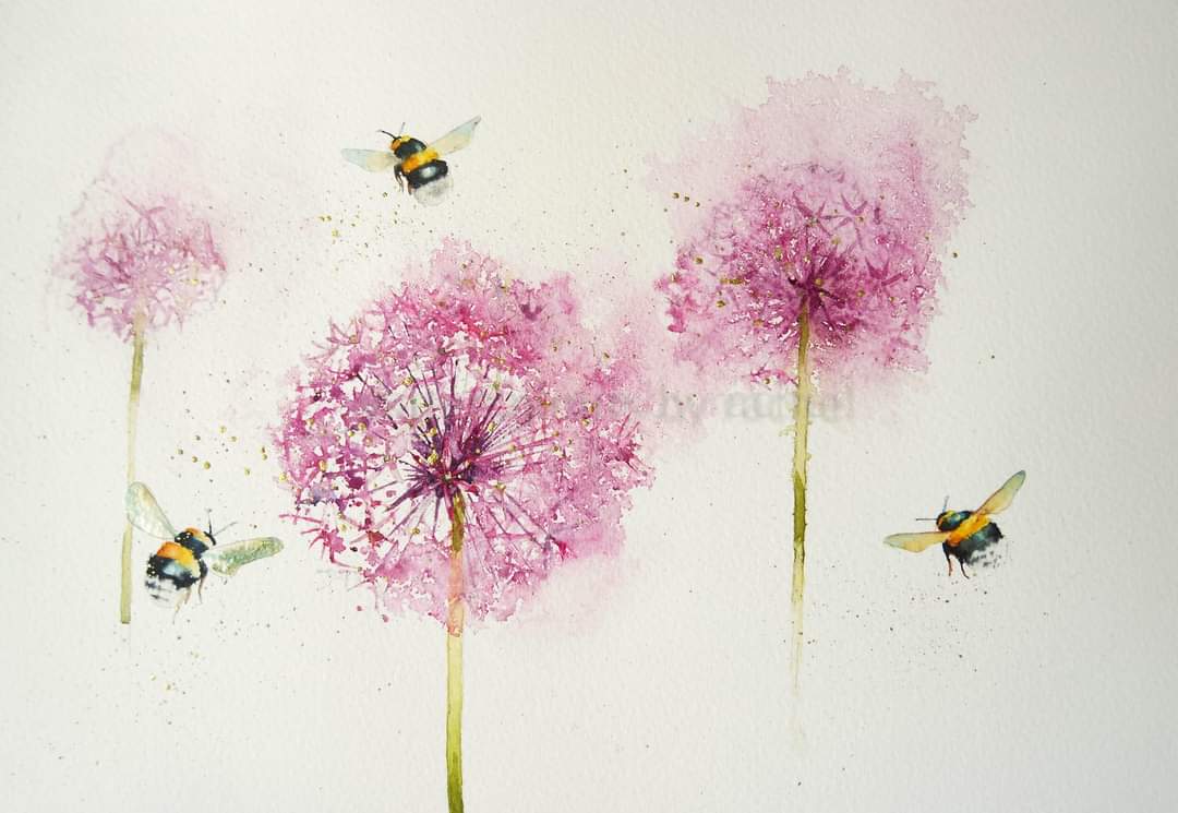 So many flowers to paint just now,  so little time to paint them.

Blog coming later

Happy Thursday x

#watercolour #watercolourpainting #allium #bees #flowers #May #summer #pollinators #Garden #painting #art #Devon #paint #art #savethebees #bumblebees #wildlife #wildlifeartist