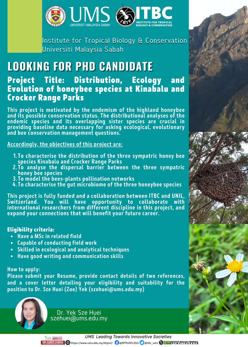 LOOKING FOR PHD CANDIDATE Project Title: Distribution, Ecology and Evolution of Honeybee Species at Kinabalu and Crocker Range Parks Please submit your resume to Dr. Sze Huei (Zoe) Yek (szehuei@ums.edu.my)