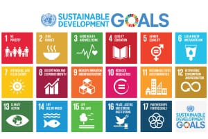 It's also have to empower youths by offering capacity building and enterpreneurship opportunities thus improving access to resources . The ultimate is to promote growth of sustainable and resilient local business that are run by youths.
Youth Economic Empowerment
 #YC4SDGs2023