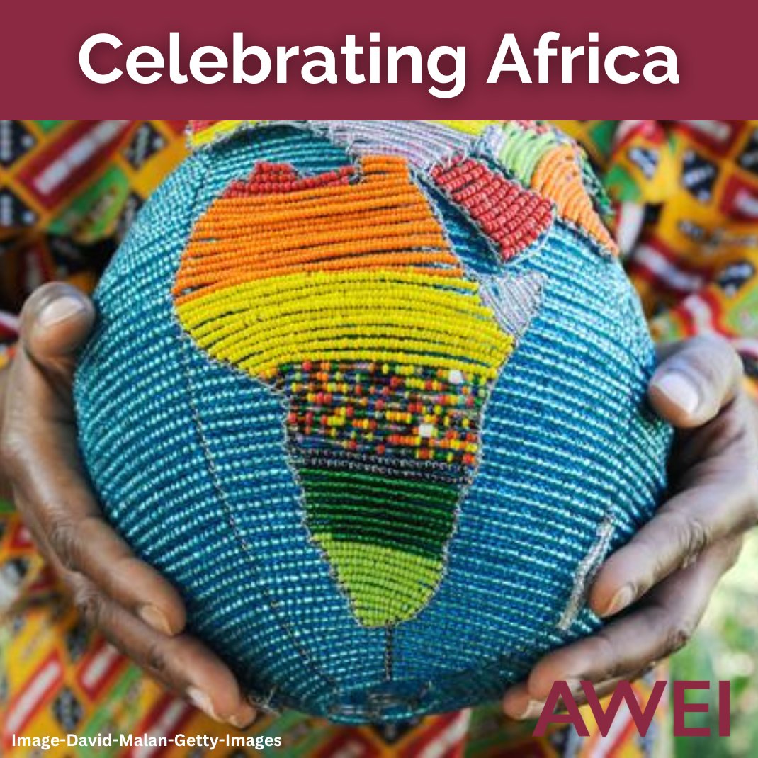 Happy Africa Day! Celebrate Africa's vibrant wildlife economy and its potential for sustainable development. Discover our vision to harness the power of diverse wildlife for economic growth and conservation: www0.sun.ac.za/awei/about/vis… 

#AfricaDay #WildlifeEconomy