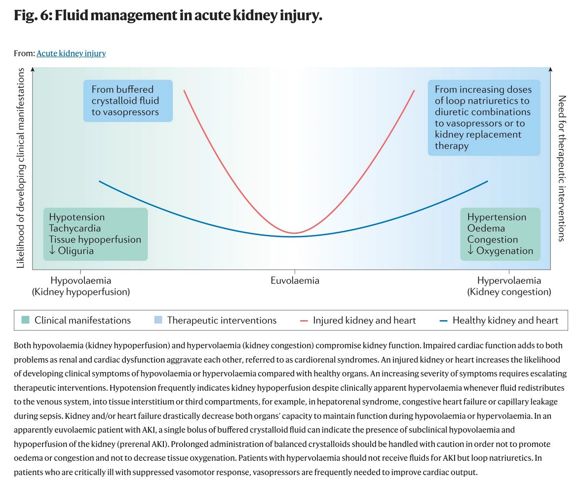 Today's Paper of the Day is by John Kellum on acute kidney injury
criticalcarereviews.com/latest-evidenc…

Join us to read 1 paper per day and stay up-to-date as we cover the spectrum of critical care across 2023