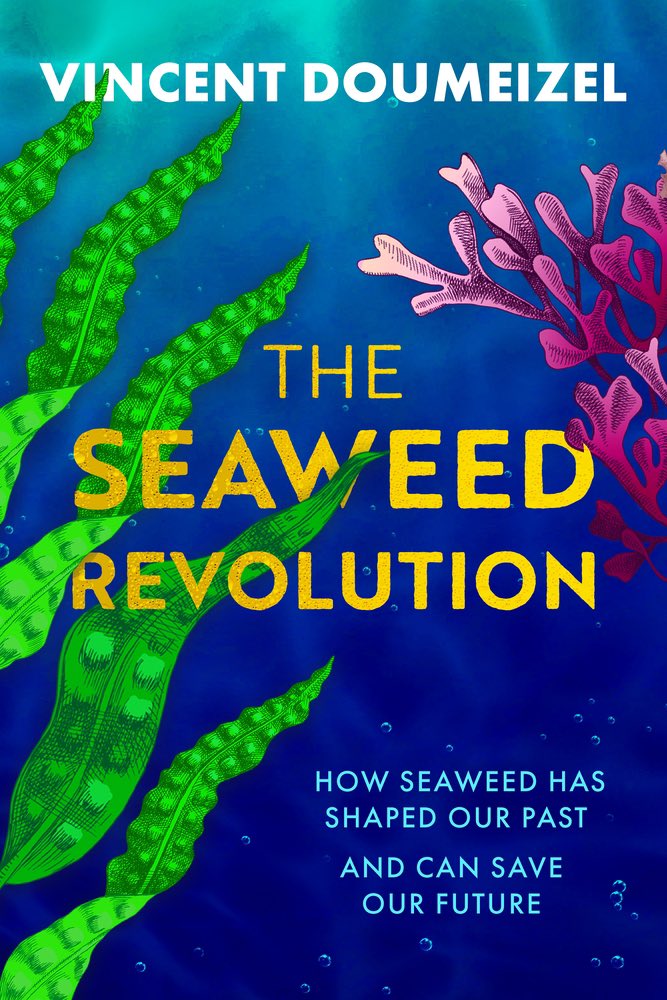 Writingandideas's tweet photo. Saturday @writingandideas FISH SOUP: marine scientist, @finnvanderaar &amp; @Doumeizel senior adviser to the @UN on oceans and author of #TheSeaweedRevolution : How Seaweed Has Shaped Our Past and Can Save Our Future, discuss the colossal potential of seaweed to affect climate change https://t.co/aAeO2M1U2D
