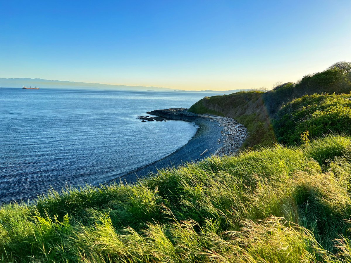 The coastline sweeps along the southern tip at Beacon Hill Park in Victoria. The 200-acre park sits in the heart of the city & stretches down to the coast. With a full discography of music streaming on @TIDAL:

🌊: tidal.com/artist/3831531

#VancouverIsland #VictoriaBC #VanIsle