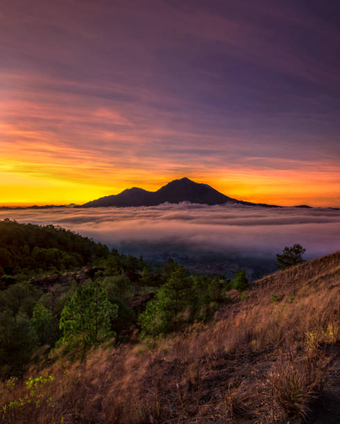 Authors!  Poets!  #Readers #Editors #Storytellers 
Let's Do This!  
Share your #books, #blogs, and #poetry. 
If you are in the #writing world, I want to follow you and #retweet your work.
📚👠📚🐱🚀📚🌏📚
#ShamelessSelfpromoThursday 
#BookBoost 
#writerslift