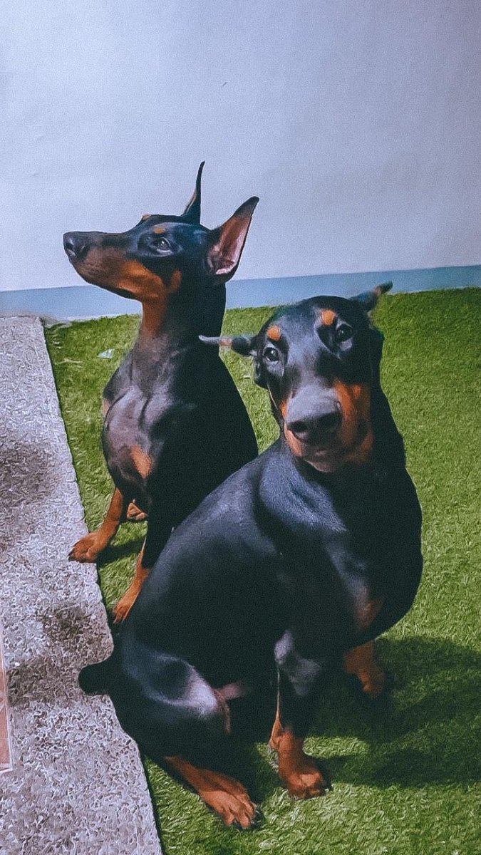 SID BUAN tweet media