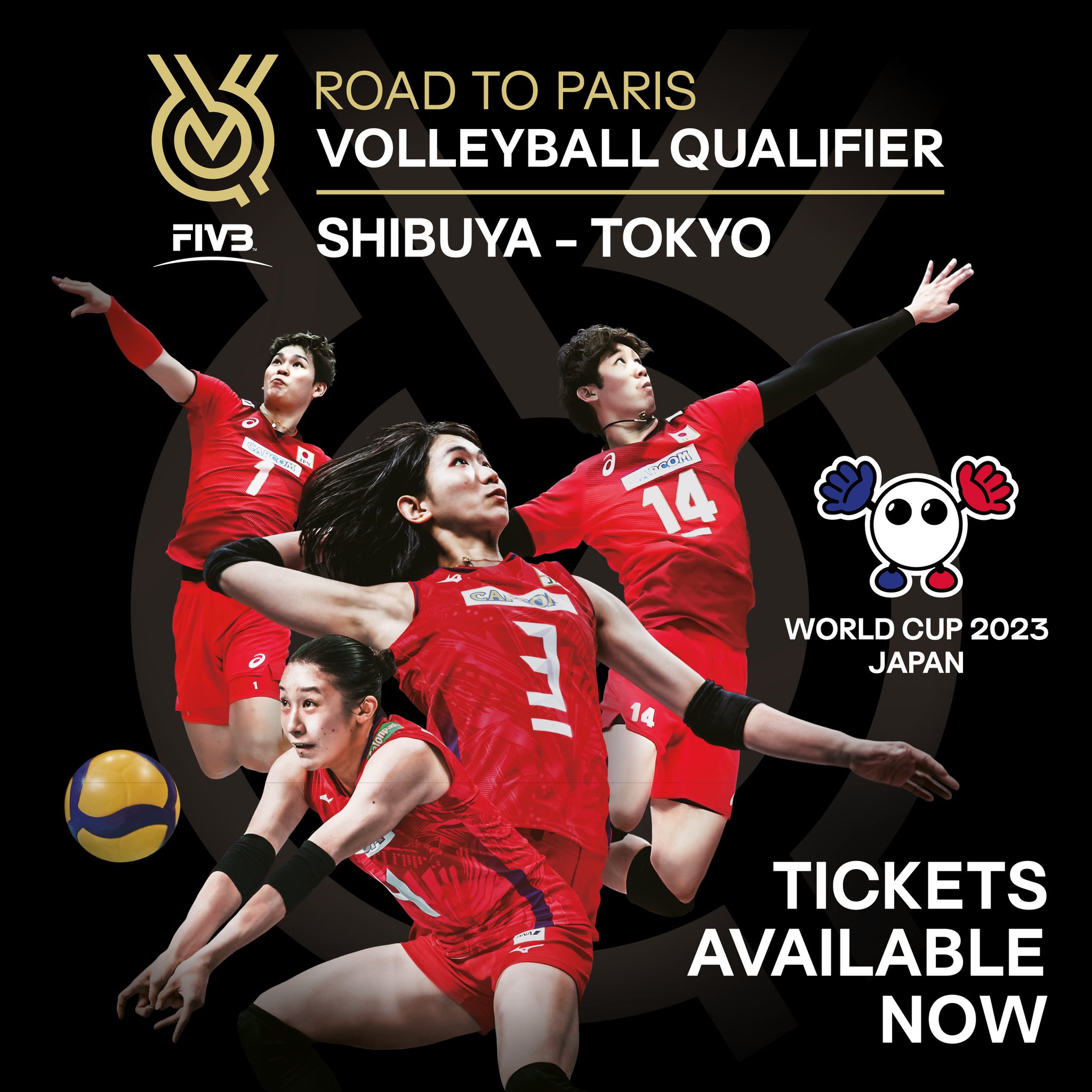 FIVB ROAD TO PARIS バレーボール　ファイル　ミニショルダー 71Y-ph47r+L._UF350,350_QL50_.jpg