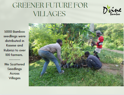 DivineBamboo's tweet photo. Throwback to the time we joined forces with @WWFUganda, planting 5000 bamboo as part of the Green Jobs project in western Uganda. Together, we're nurturing a green revolution, one shoot at a time. 🌿 #BambooPlanting #SustainableUganda #GreenJobs🌿#SustainableUganda https://t.co/KacbfLoixZ