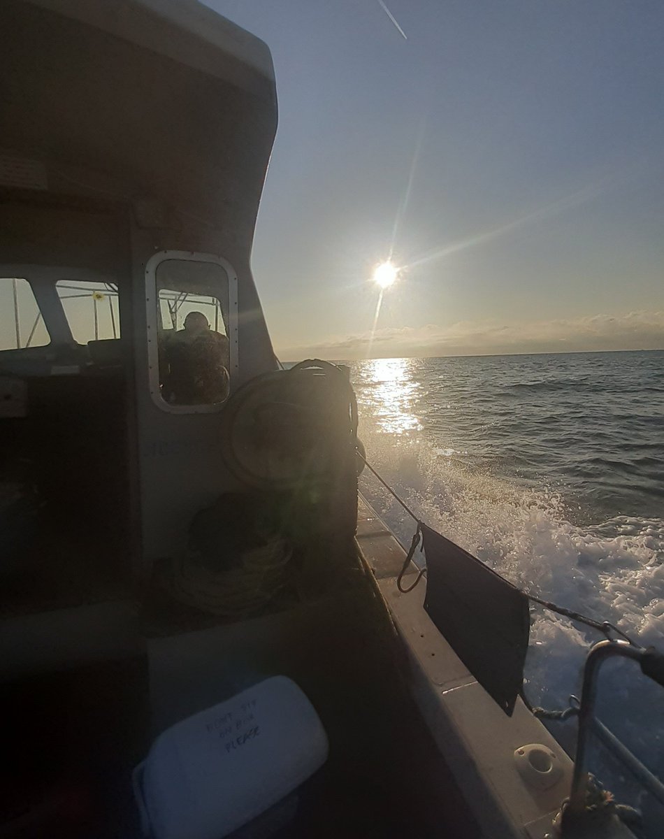 DaniOrrell's tweet image. The early bird gets the worm (and the slack tide) 🌊 #trackingnotslacking #CETUS