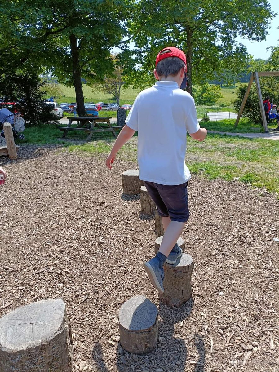 Cann Bridge School tweet media