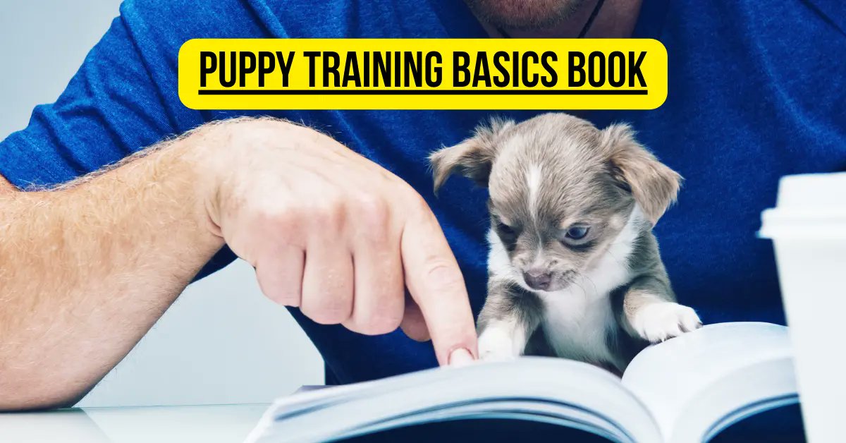 dogtraincourse's tweet photo. Mastering Puppy Training Basics Book: A Comprehensive Guide 2023 Discover the secrets to raising a well-behaved pup with this comprehensive guide! 
https://t.co/DK22GIuU6T
 #PuppyTrainingTips #DogBehavior #PetTraining https://t.co/wK5v11rKZj