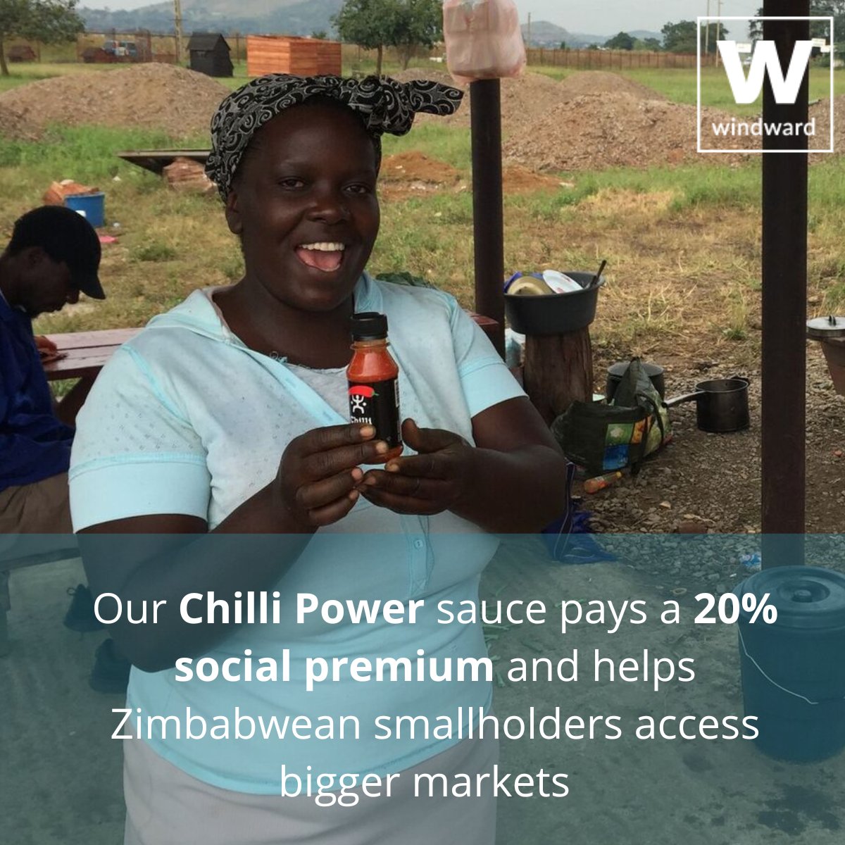 Windward Commodities tweet media