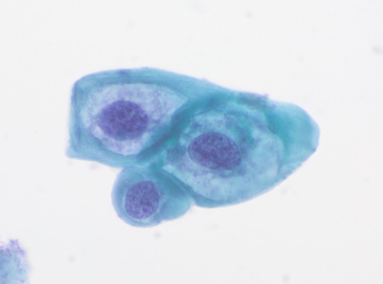 Pepe Jiménez Heffernan tweet media