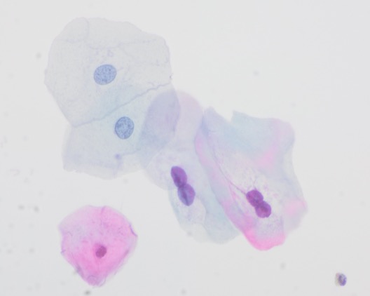 Pepe Jiménez Heffernan tweet media