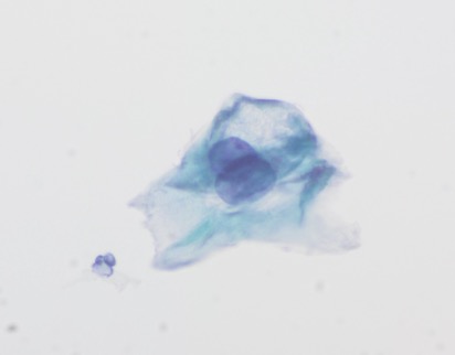 Pepe Jiménez Heffernan tweet media