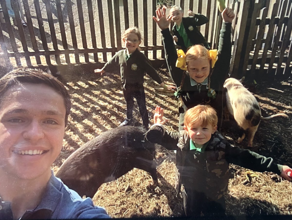 The Waterside Pigs tweet media