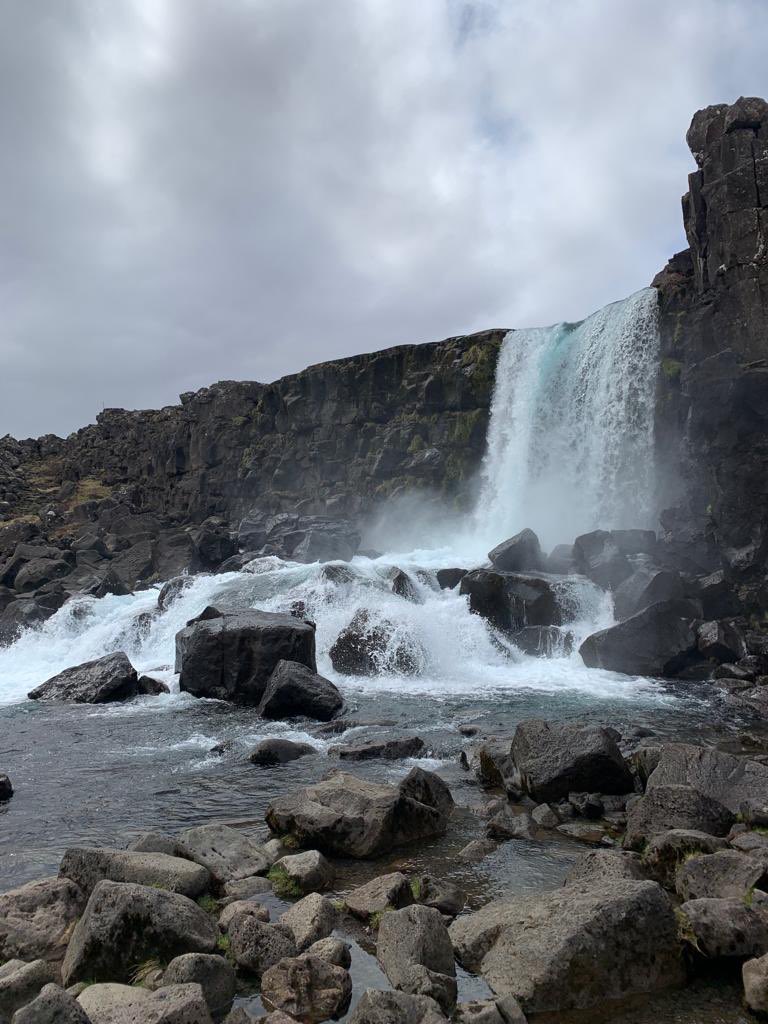 Polar Raid tweet media