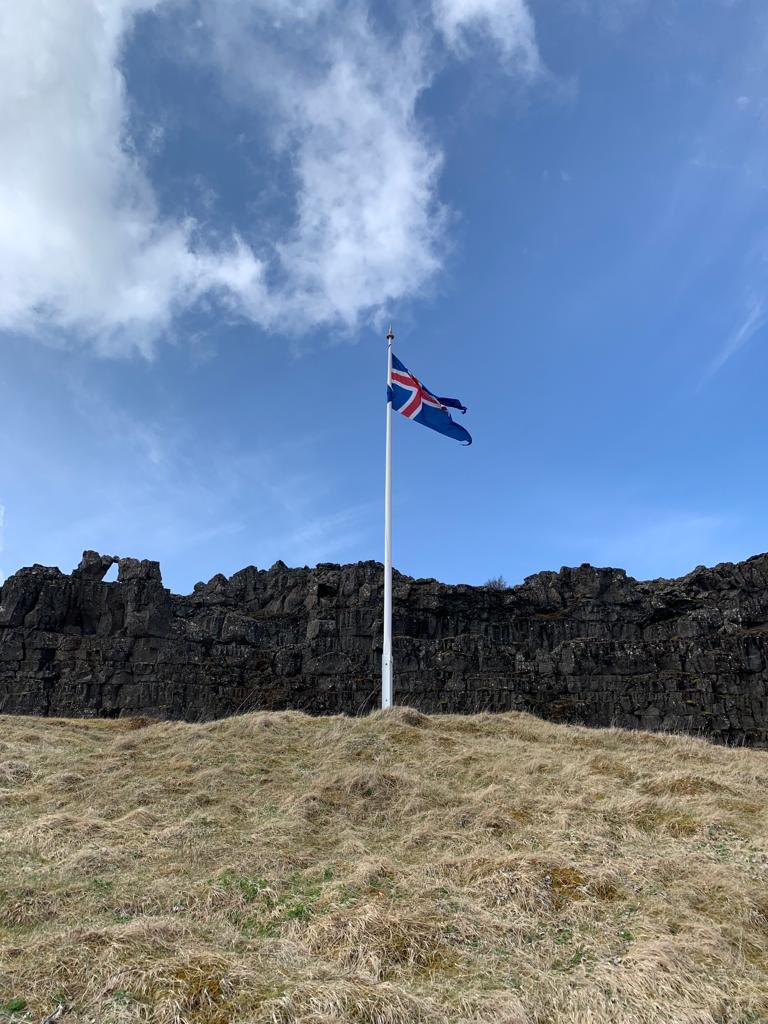 Polar Raid tweet media