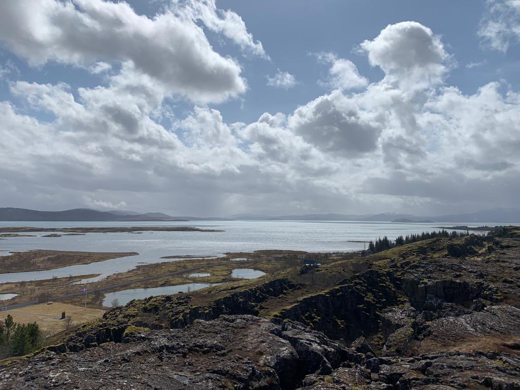 Polar Raid tweet media