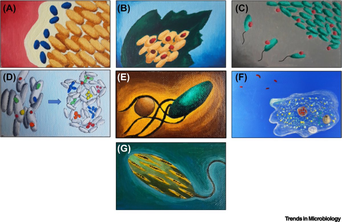 MoiParasite tweet media