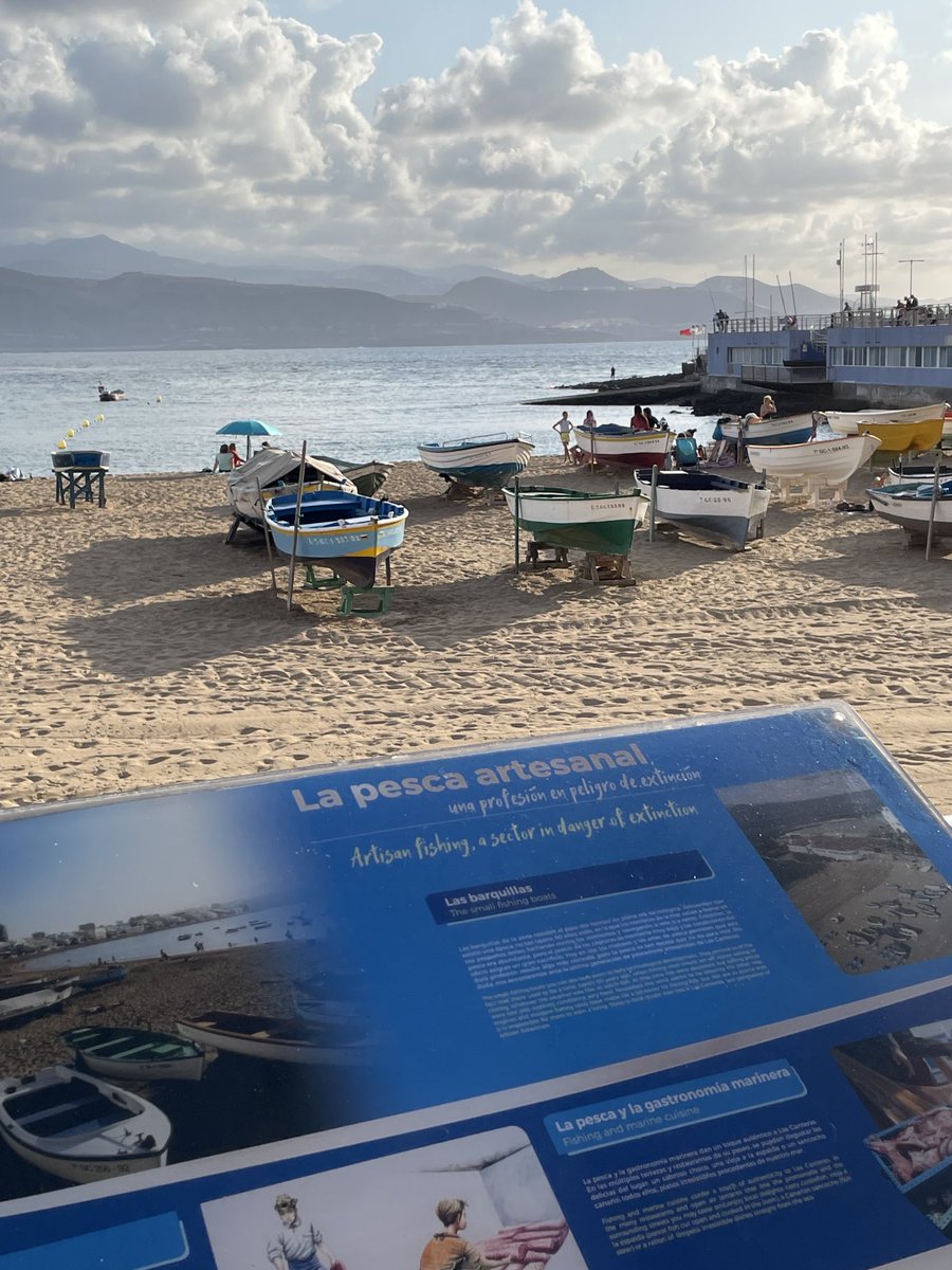 Carol Robinson tweet media