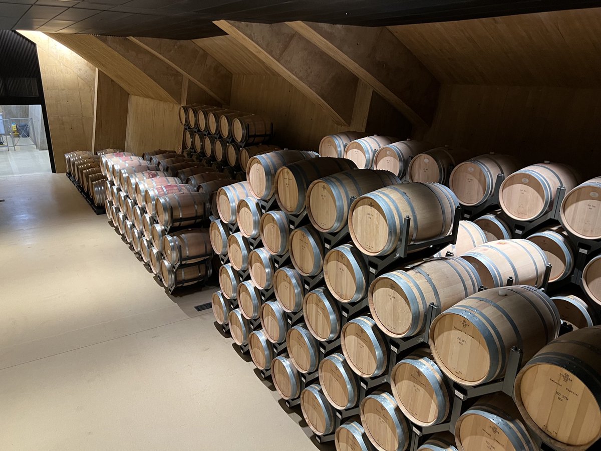 IWFS Global tweet media