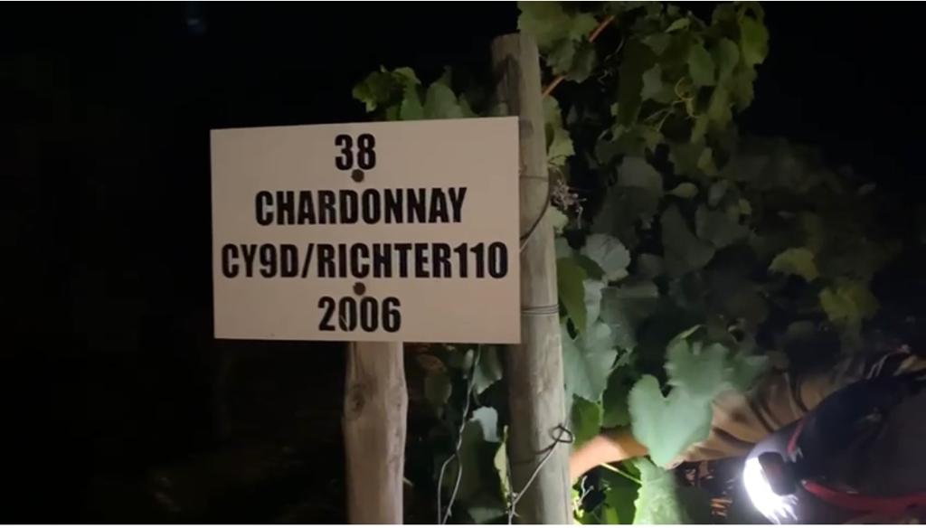 Saronsberg Cellar (@saronsberg) on Twitter photo ๐๐ก๐ง๐๐ฅ๐ก๐๐ง๐๐ข๐ก๐๐ ๐๐๐๐ฅ๐๐ข๐ก๐ก๐๐ฌ ๐๐๐ฌ
โWhat do you spend on a bottle of bubbles? ๐โฆ
You cannot put a price on happiness!!โ
Today ๐ฆ๐๐ฅ๐ข๐ก๐ฆ๐๐๐ฅ๐ celebrates happiness!
Saronsberg Brutโฆ.yes itโs Chardonnay!!! ๐๐ก๐ง๐๐ฅ๐ก๐๐ง๐๐ข๐ก๐๐ ๐๐๐๐ฅ๐๐ข๐ก๐ก๐๐ฌ ๐๐๐ฌ
โWhat do you spend on a bottle of bubbles? ๐โฆ
You cannot put a price on happiness!!โ
Today ๐ฆ๐๐ฅ๐ข๐ก๐ฆ๐๐๐ฅ๐ celebrates happiness!
Saronsberg Brutโฆ.yes itโs Chardonnay!!!