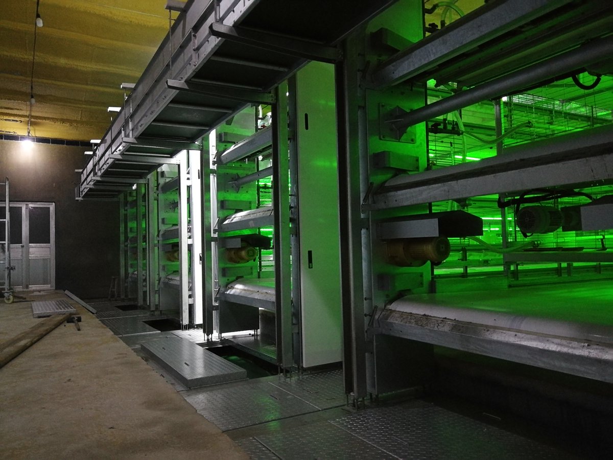 MaggieLi1221's tweet image. This is our another automatic H type cage equipment for broiler,let's see this project:linkedin.com/posts/maggie-l…
#broilercage
#chinesemanufacturer #chickenequipment